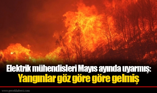 Elektrik mühendisleri Mayıs ayında uyarmış: Yangınlar göz göre göre gelmiş