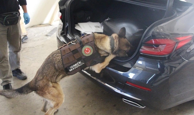 &#039;Kapıkule&#039;de Diplomat Aracında Yasaklı Madde&#039; İddiasına Açıklama