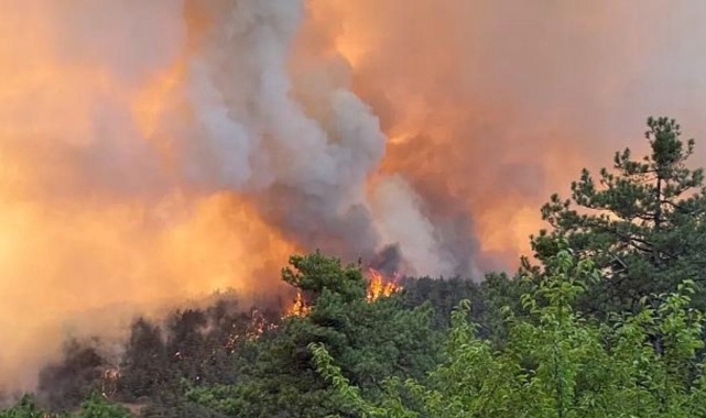Kavurucu sıcaklar geliyor: Bakan Yumaklı'dan 'orman yangını' uyarısı!