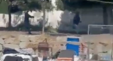 Küçükçekmece'de balıkçı barınaklarına silahlı saldırı; 2 kişi yaralandı, 5 kişi gözaltında!