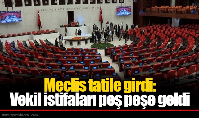 Meclis tatile girdi: Vekil istifaları peş peşe geldi