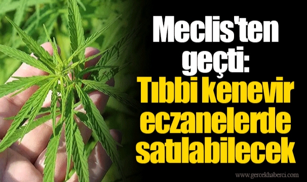 Meclis'ten geçti: Tıbbi kenevir eczanelerde satılabilecek