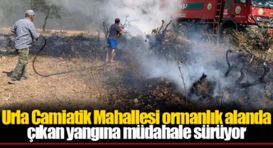 Urla Camiatik Mahallesi ormanlık alanda çıkan yangına müdahale sürüyor