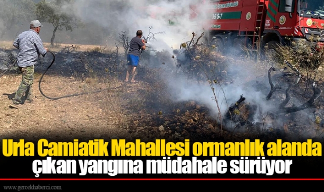 Urla Camiatik Mahallesi ormanlık alanda çıkan yangına müdahale sürüyor