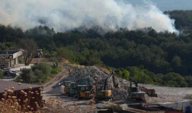 Urla'da orman yangını alarmı