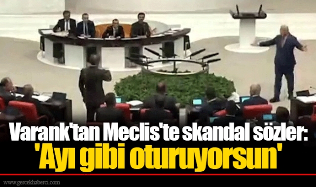 Varank'tan Meclis'te skandal sözler: 'Ayı gibi oturuyorsun'