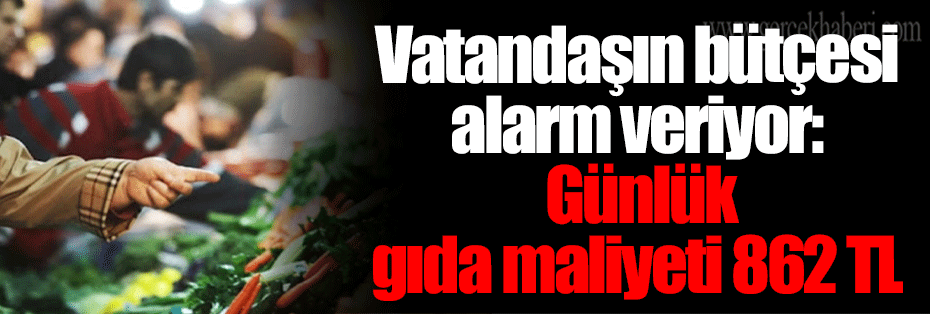 Vatandaşın bütçesi alarm veriyor: Günlük gıda maliyeti 862 TL