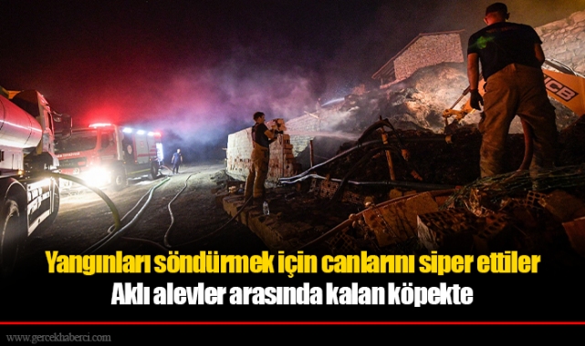 Yangınları söndürmek için canlarını siper ettiler