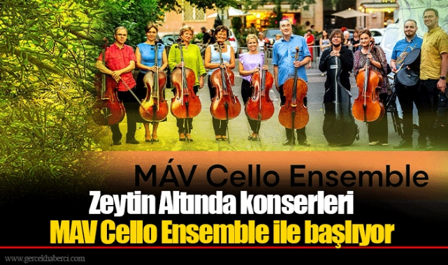 Zeytin Altında konserleri MAV Cello Ensemble ile başlıyor