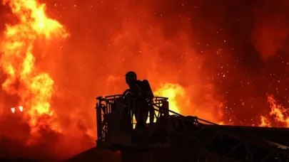 Orman yangınlarının bilançosu ortaya çıktı