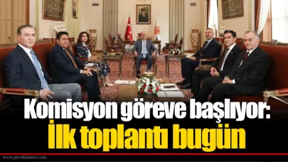 Komisyon göreve başlıyor: İlk toplantı bugün