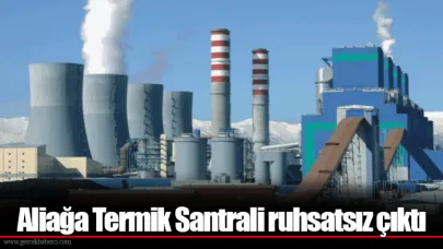 Aliağa Termik Santrali ruhsatsız çıktı