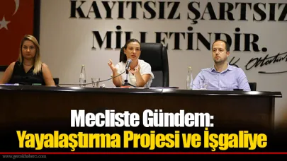 Mecliste Gündem: Yayalaştırma Projesi ve İşgaliye