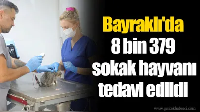 Bayraklı'da 8 bin 379 sokak hayvanı tedavi edildi