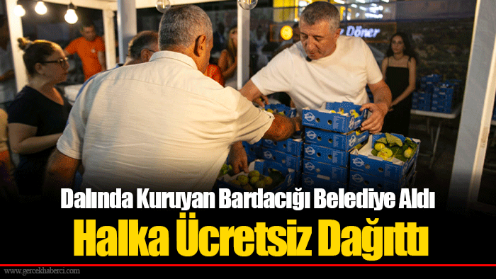 Dalında Kuruyan Bardacığı Belediye Aldı Halka Ücretsiz Dağıttı