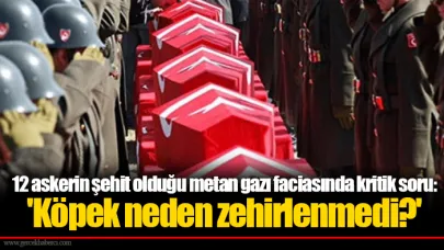 12 askerin şehit olduğu metan gazı faciasında kritik soru: 'Köpek neden zehirlenmedi?'