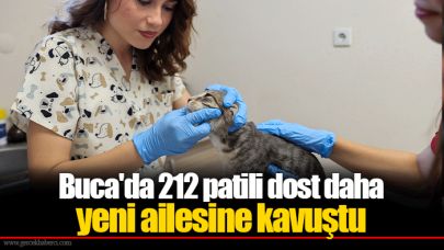 Buca'da 212 patili dost daha yeni ailesine kavuştu