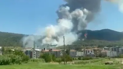 Manisa’nın Soma ilçesinde orman yangını!
