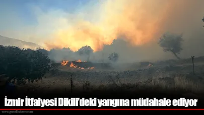 İzmir İtfaiyesi Dikili’deki yangına müdahale ediyor