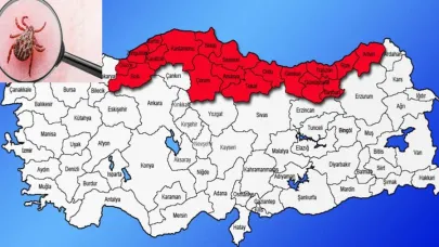 Karadeniz için "Sessiz Salgın" uyarısı: Baş ağrısı, halsizlik ve kas ağrısı yaşıyorsanız dikkat!
