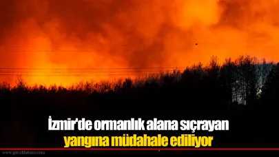 İzmir'de ormanlık alana sıçrayan yangına müdahale ediliyor