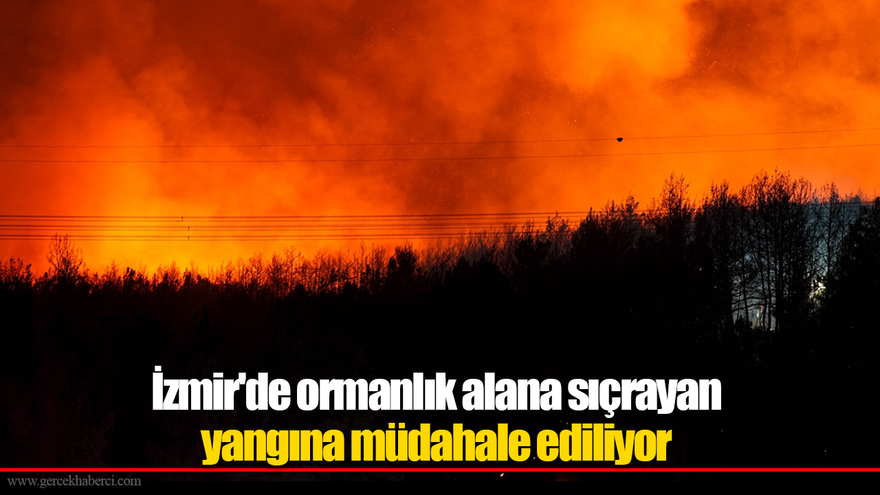 İzmir'de ormanlık alana sıçrayan yangına müdahale ediliyor