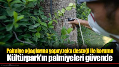 Palmiye ağaçlarına yapay zeka desteği ile koruma  Kültürpark’ın palmiyeleri güvende