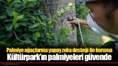 Palmiye ağaçlarına yapay zeka desteği ile koruma  Kültürpark’ın palmiyeleri güvende