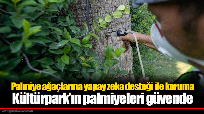 Palmiye ağaçlarına yapay zeka desteği ile koruma  Kültürpark’ın palmiyeleri güvende