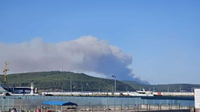 Çanakkale Gelibolu'da orman yangını