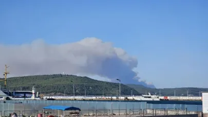 Çanakkale Gelibolu'da orman yangını