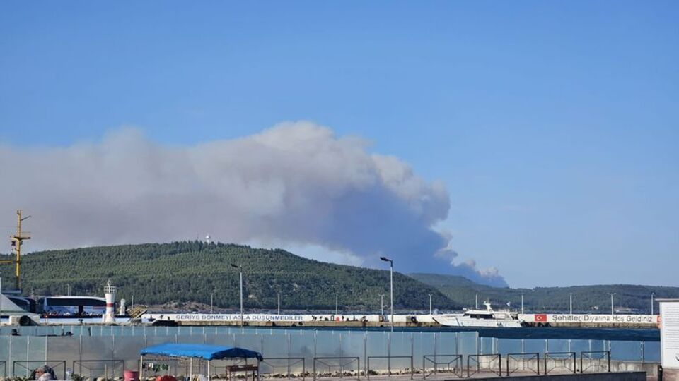 Çanakkale Gelibolu'da orman yangını