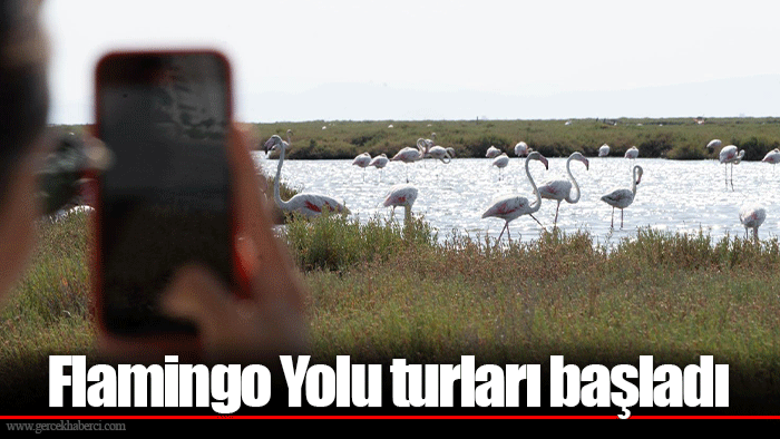 Flamingo Yolu turları başladı
