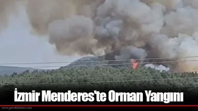 İzmir Menderes'te Orman Yangını