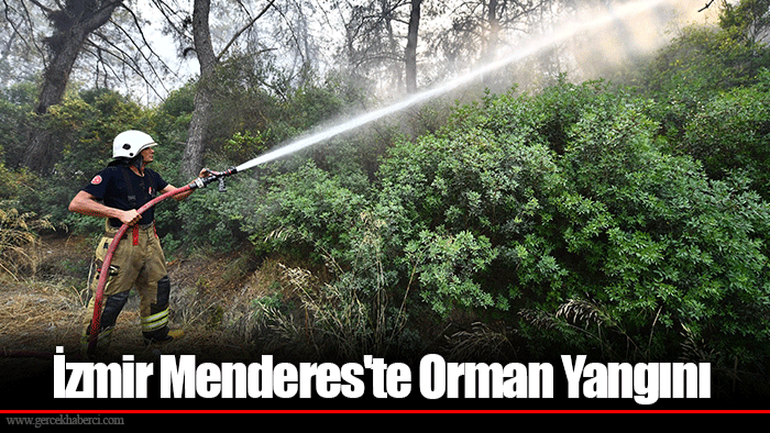 İzmir Menderes&#039;te Orman Yangını