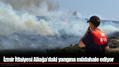 İzmir İtfaiyesi Aliağa’daki yangına müdahale ediyor