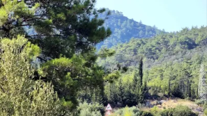 Ormanlarda maden arama hükümleri değişti