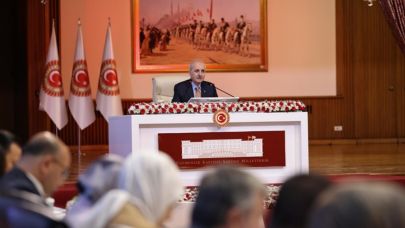 Komisyon'da 'özerklik' istendi iddiaları MHP'li isimden yanıt: Van Gölü canavarını da istediler