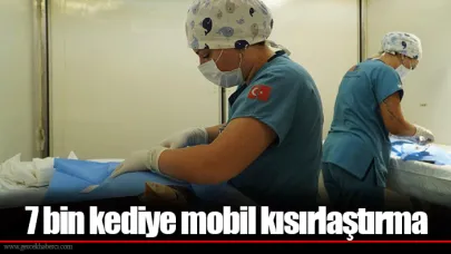 7 bin kediye mobil kısırlaştırma