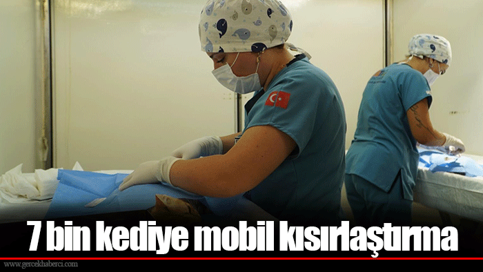 7 bin kediye mobil kısırlaştırma