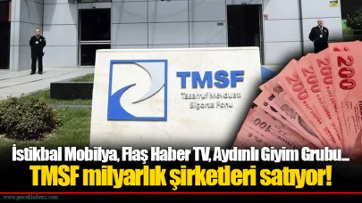 İstikbal Mobilya, Flaş Haber TV, Aydınlı Giyim Grubu...  TMSF milyarlık şirketleri satıyor!