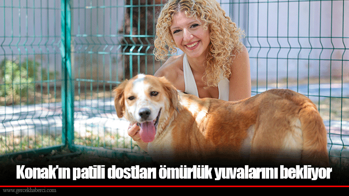 Konak’ın patili dostları ömürlük yuvalarını bekliyor