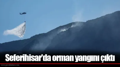 Seferihisar'da orman yangını çıktı