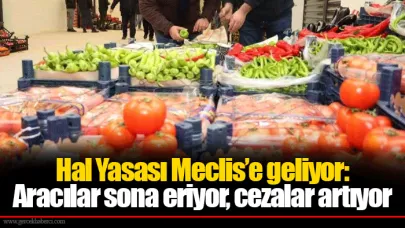 Hal Yasası Meclis’e geliyor:Aracılar sona eriyor, cezalar artıyor...