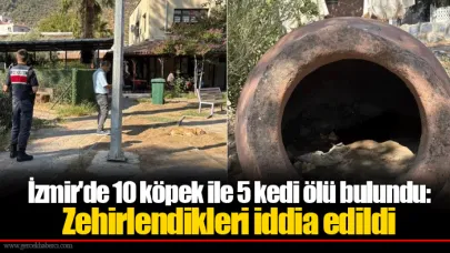 İzmir'de 10 köpek ile 5 kedi ölü bulundu: Zehirlendikleri iddia edildi