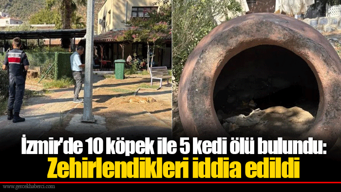 İzmir'de 10 köpek ile 5 kedi ölü bulundu: Zehirlendikleri iddia edildi