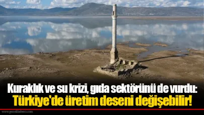 Kuraklık ve su krizi, gıda sektörünü de vurdu: Türkiye'de üretim deseni değişebilir!