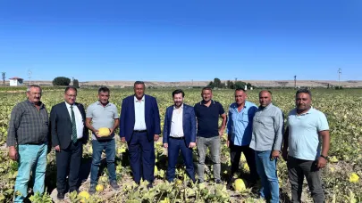Çiftçi: “İklim değişimi kabak verimini etkiledi”