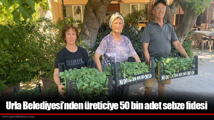 Urla Belediyesi’nden üreticiye 50 bin adet sebze fidesi