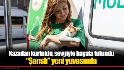 Kazadan kurtuldu, sevgiyle hayata tutundu